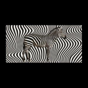 24 Pack of Zebra Velour Beach Towels Case ~30 x 60